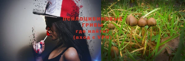 jwh Новозыбков
