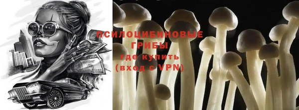 крисы Новокубанск