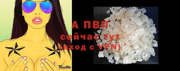 сатива Нягань