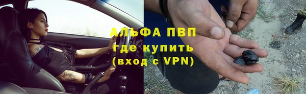 крисы Новокубанск