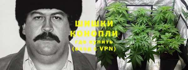 крисы Новокубанск