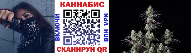 Бошки марихуана THC 21%  Новотитаровская 